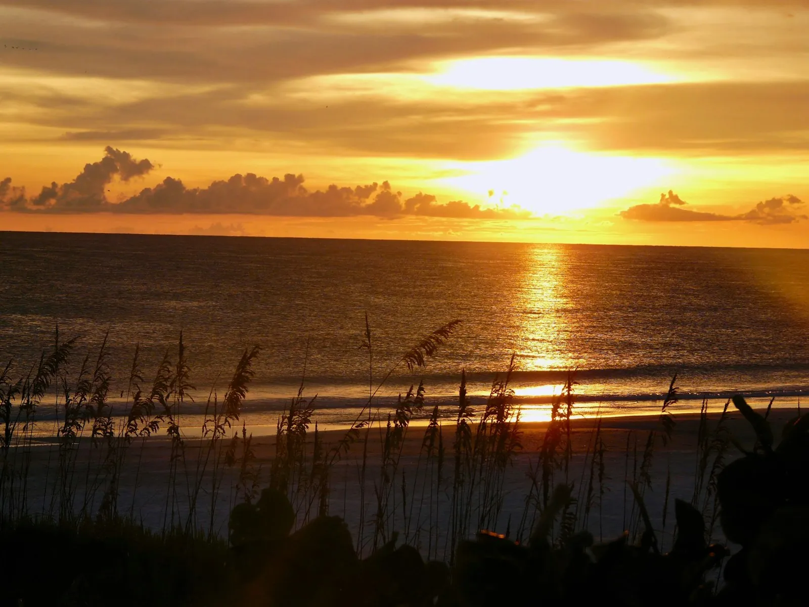Bradenton