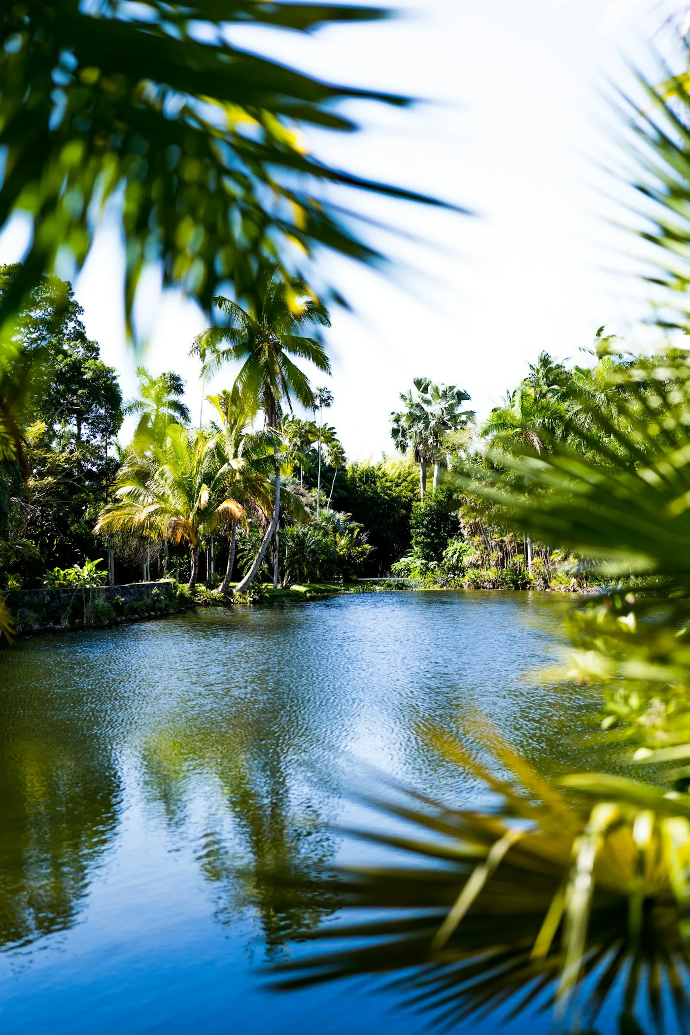 Coconut Grove