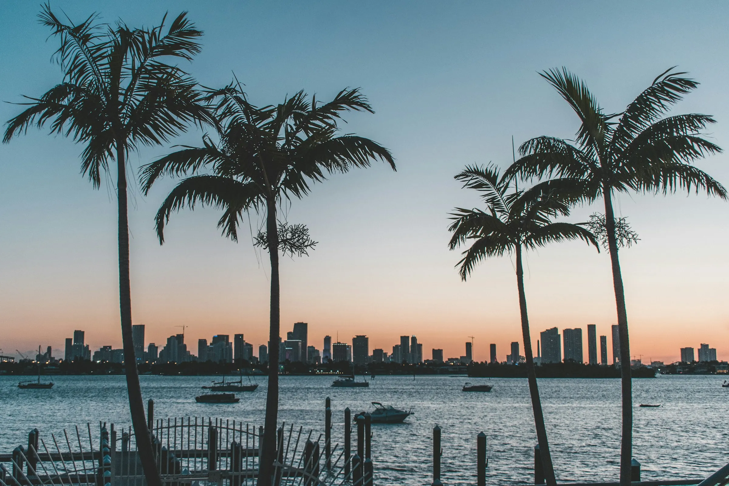 Palm trees at sunset with the Miami skyline
